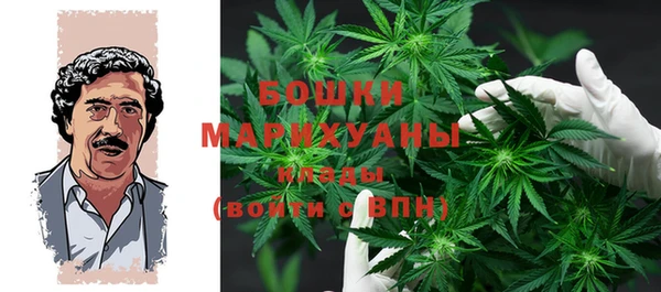 mdpv Володарск